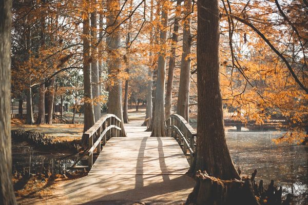 新加坡私立大学课程学制为什么更灵活