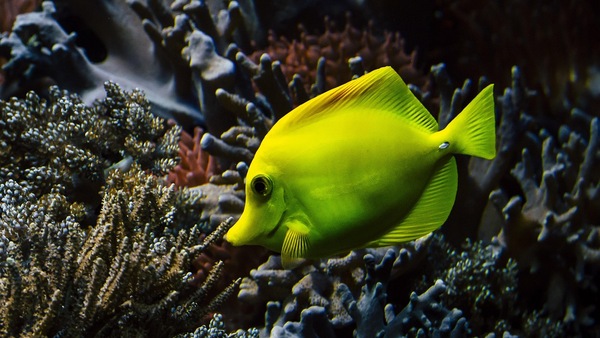 成绩一般申请Kaplan如何设计更稳妥的备选方案